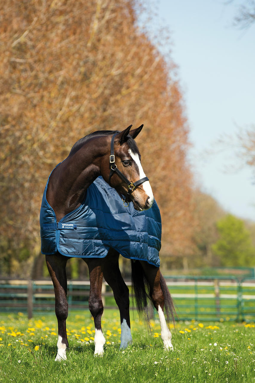 Horseware Liner