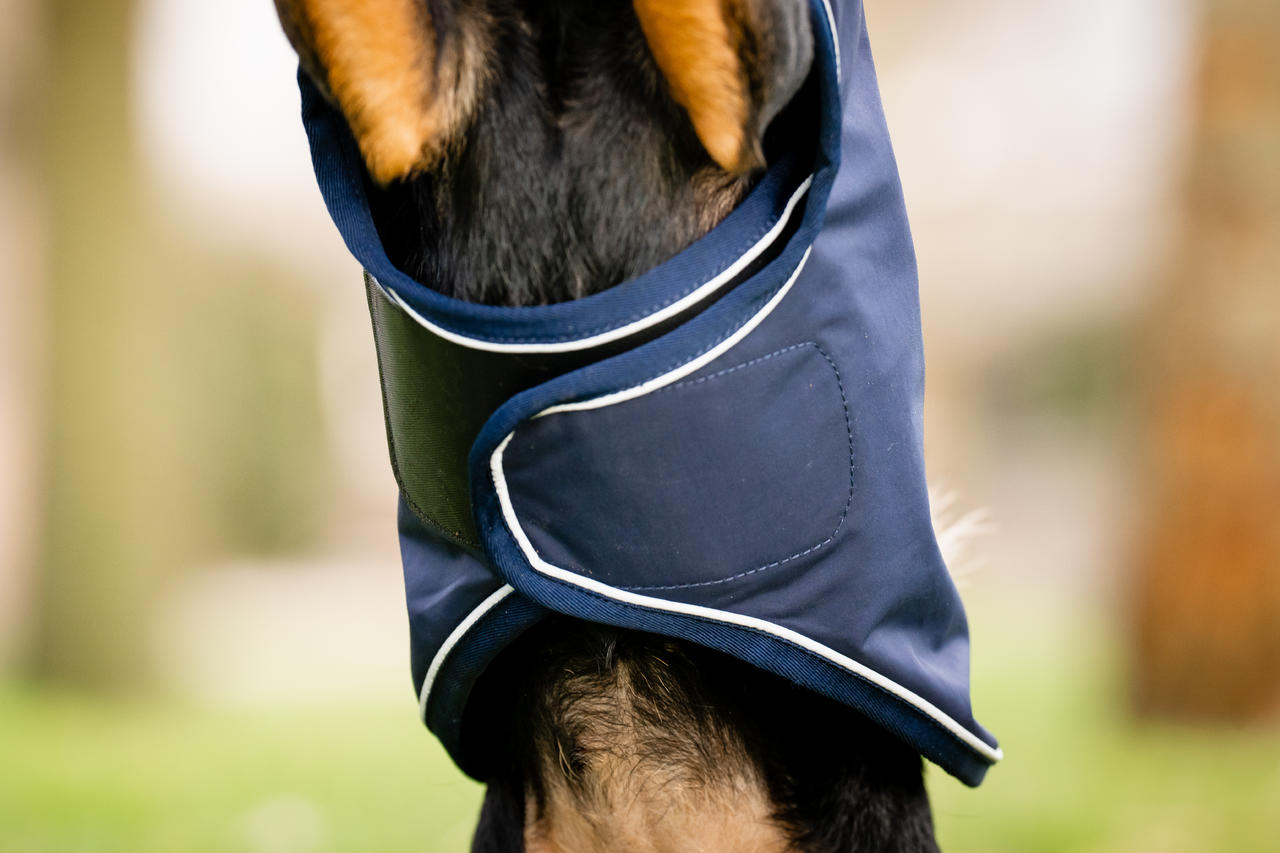 Horseware Manteau imperméable Signature pour chien