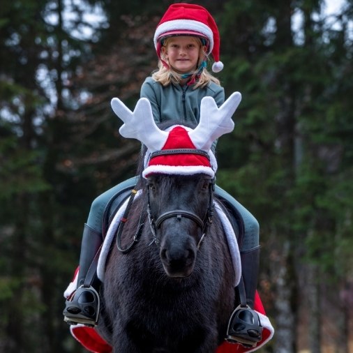 themen_weihnachten