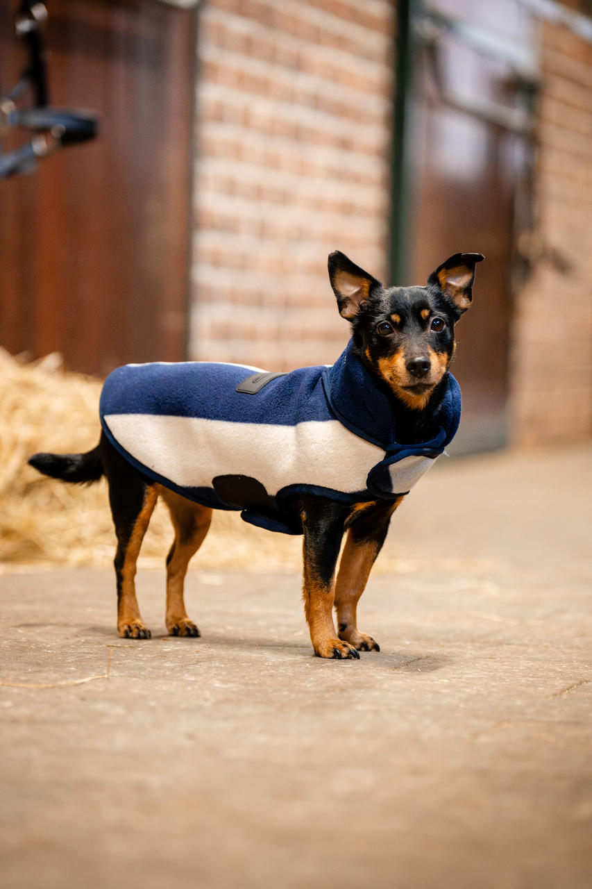 Horseware Polaire Signature Dog